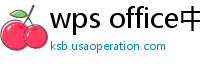 wps office中文官网